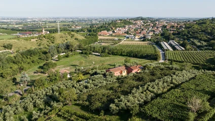 Degustazione Olio Extravergine del Garda: Tour Panoramico ed Esperienza Sensoriale 27 Degustazione Olio Extravergine del Garda: Tour Panoramico ed Esperienza Sensoriale 27